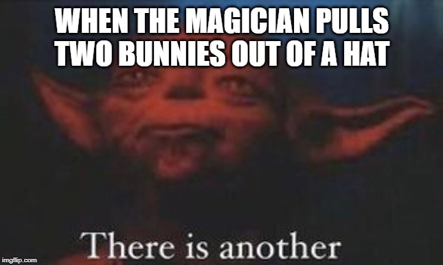 yoda there is another | WHEN THE MAGICIAN PULLS TWO BUNNIES OUT OF A HAT | image tagged in yoda there is another | made w/ Imgflip meme maker