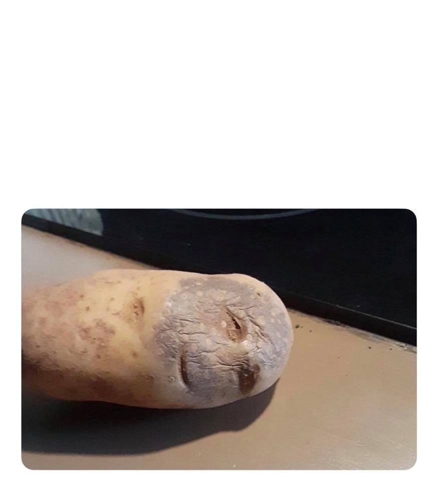 Please Kill Me Potato Blank Meme Template