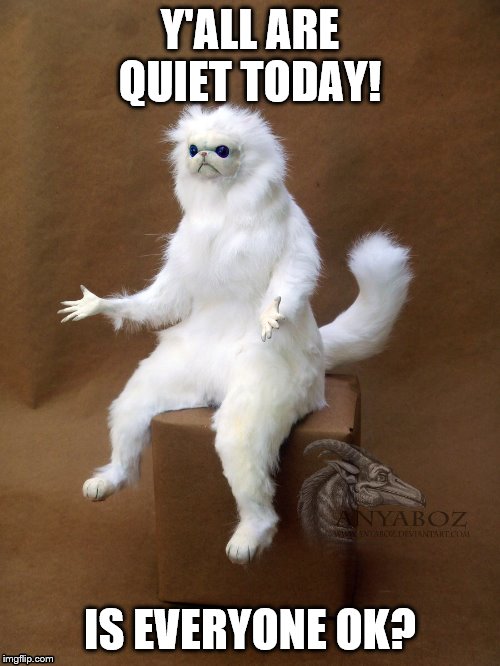 Persian Cat Room Guardian Single | Y'ALL ARE QUIET TODAY! IS EVERYONE OK? | image tagged in memes,persian cat room guardian single | made w/ Imgflip meme maker