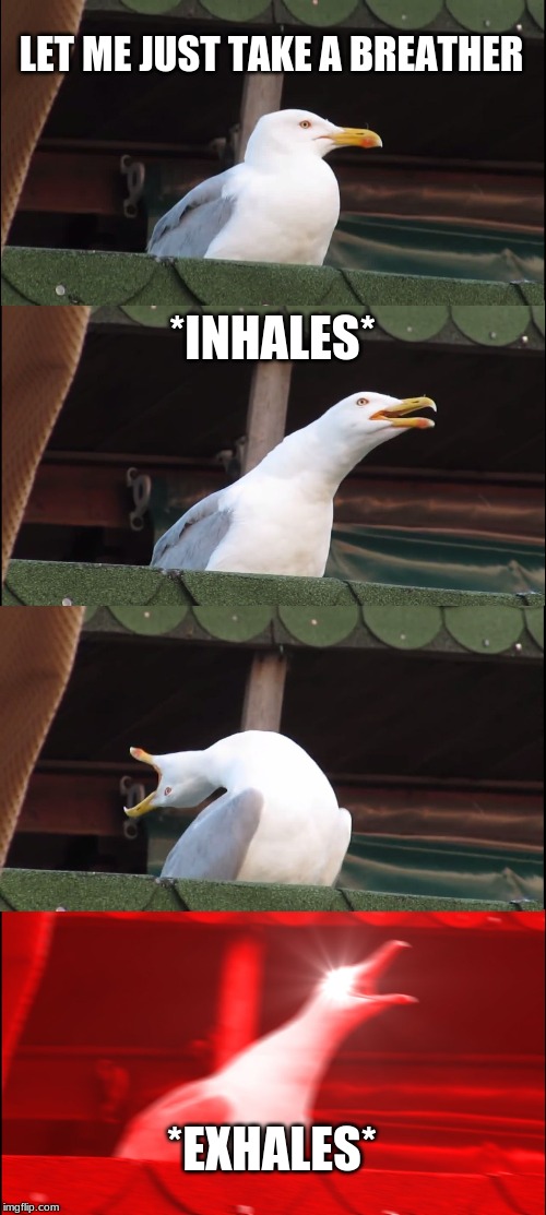 Inhaling Seagull | LET ME JUST TAKE A BREATHER; *INHALES*; *EXHALES* | image tagged in memes,inhaling seagull | made w/ Imgflip meme maker