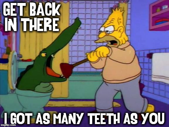 That Durn Stopped Up Toilet! | GET BACK IN THERE I GOT AS MANY TEETH AS YOU | image tagged in vince vance,the simpsons,toilet humor,plunger,alligator,grandpa | made w/ Imgflip meme maker