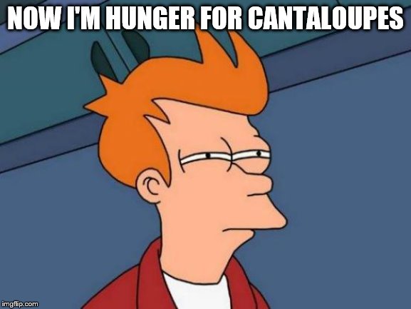 Futurama Fry Meme | NOW I'M HUNGER FOR CANTALOUPES | image tagged in memes,futurama fry | made w/ Imgflip meme maker
