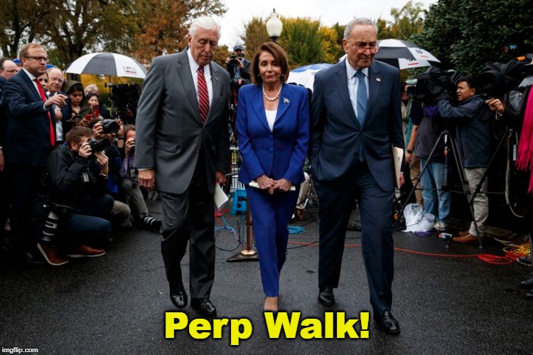 Pelosi, Schumer, Hoyer ... Perp Walk! | Perp Walk! | image tagged in nancy pelosi,chuck schumer,perp walk,liberals,democrats | made w/ Imgflip meme maker