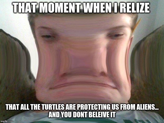 THAT MOMENT WHEN I RELIZE; THAT ALL THE TURTLES ARE PROTECTING US FROM ALIENS...
AND YOU DONT BELEIVE IT | image tagged in batman slapping robin | made w/ Imgflip meme maker