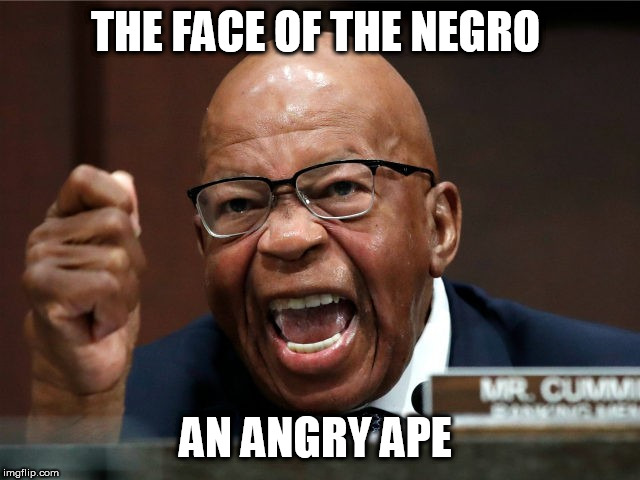 Elijah Cummings mad | THE FACE OF THE NEGRO; AN ANGRY APE | image tagged in elijah cummings mad | made w/ Imgflip meme maker