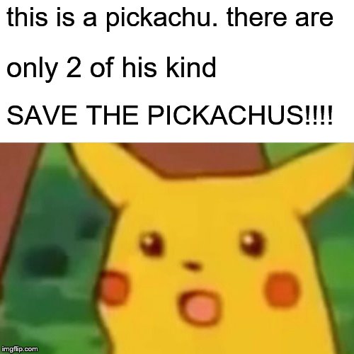 Surprised Pikachu Meme | this is a pickachu. there are; only 2 of his kind; SAVE THE PICKACHUS!!!! | image tagged in memes,surprised pikachu,save the pichachu | made w/ Imgflip meme maker