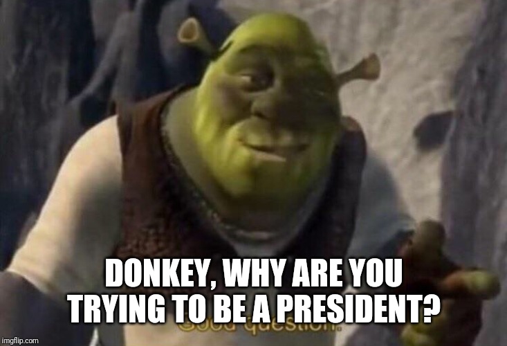 Shrek good question | DONKEY, WHY ARE YOU TRYING TO BE A PRESIDENT? | image tagged in shrek good question | made w/ Imgflip meme maker