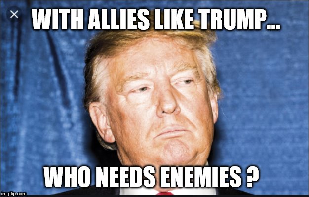 The Biggest Loser | WITH ALLIES LIKE TRUMP... WHO NEEDS ENEMIES ? | image tagged in donald trump,trump is a moron,traitor,warning sign,impeach trump | made w/ Imgflip meme maker