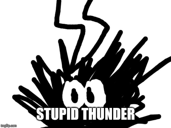 Blank White Template | STUPID THUNDER | image tagged in blank white template | made w/ Imgflip meme maker