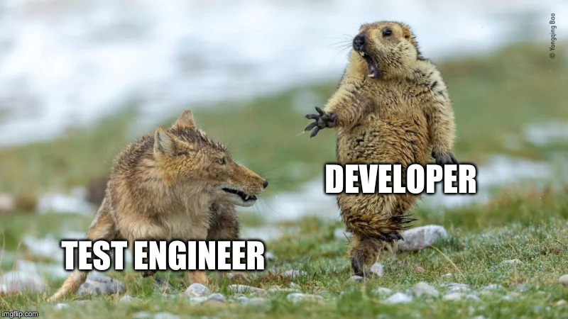 Oh Shit, Fox | DEVELOPER; TEST ENGINEER | image tagged in oh shit fox | made w/ Imgflip meme maker