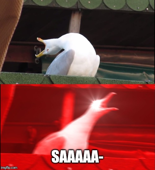 Screaming bird | SAAAAA- | image tagged in screaming bird | made w/ Imgflip meme maker