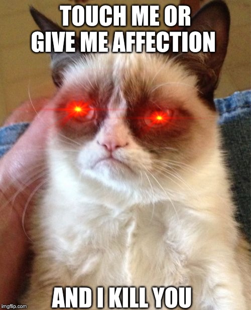 Grumpy Cat | TOUCH ME OR GIVE ME AFFECTION; AND I KILL YOU | image tagged in memes,grumpy cat | made w/ Imgflip meme maker