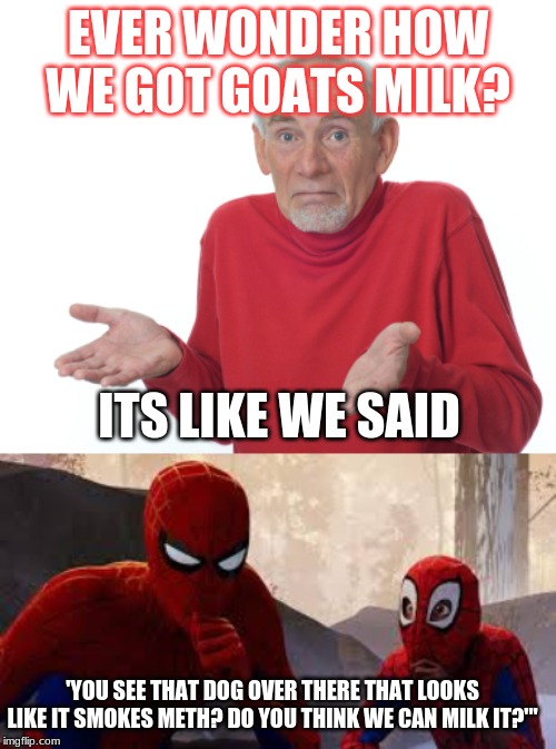 How did we get goats milk?? | EVER WONDER HOW WE GOT GOATS MILK? ITS LIKE WE SAID; 'YOU SEE THAT DOG OVER THERE THAT LOOKS LIKE IT SMOKES METH? DO YOU THINK WE CAN MILK IT?'" | image tagged in funny,spider man,joke,guess i'll die | made w/ Imgflip meme maker