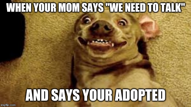 Eeeeeeee | WHEN YOUR MOM SAYS "WE NEED TO TALK"; AND SAYS YOUR ADOPTED | image tagged in fun,adopted | made w/ Imgflip meme maker