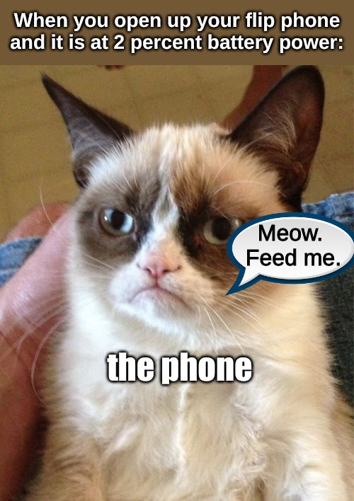 Grumpy Cat | When you open up your flip phone and it is at 2 percent battery power:; Meow.  Feed me. the phone | image tagged in memes,electronics | made w/ Imgflip meme maker
