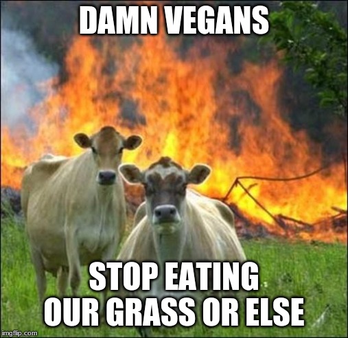 Evil Cows Meme | DAMN VEGANS; STOP EATING OUR GRASS OR ELSE | image tagged in memes,evil cows | made w/ Imgflip meme maker