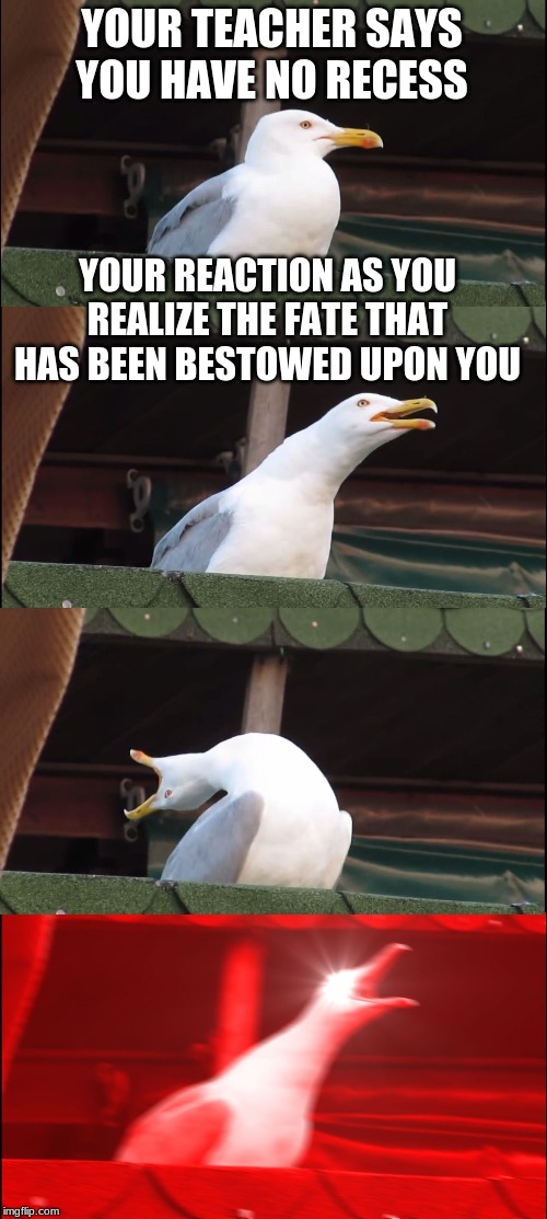 Inhaling Seagull | YOUR TEACHER SAYS YOU HAVE NO RECESS; YOUR REACTION AS YOU REALIZE THE FATE THAT HAS BEEN BESTOWED UPON YOU | image tagged in memes,inhaling seagull | made w/ Imgflip meme maker