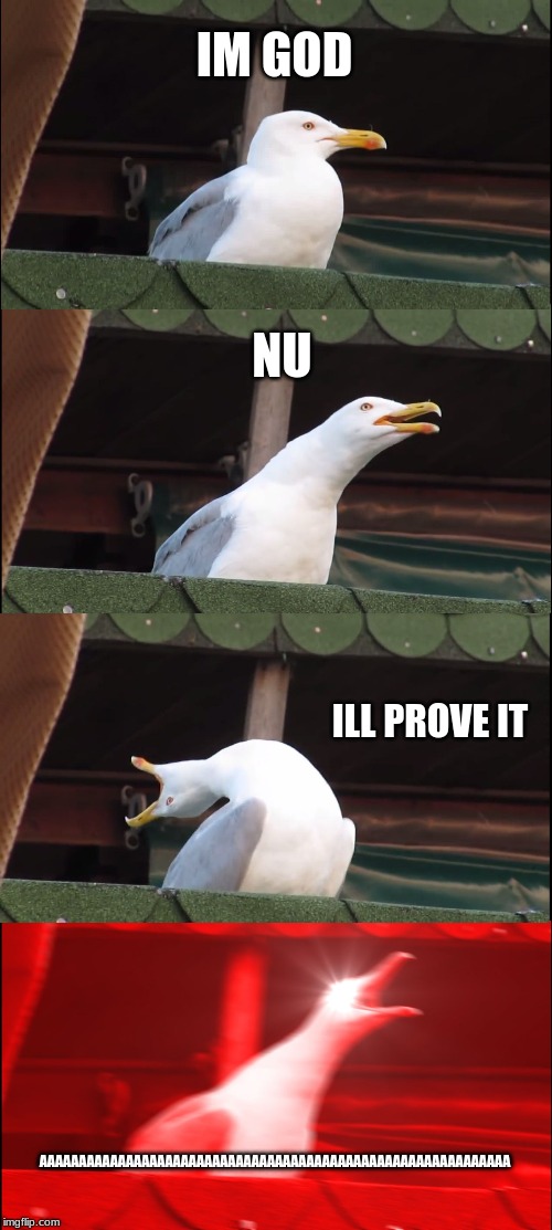 Inhaling Seagull | IM GOD; NU; ILL PROVE IT; AAAAAAAAAAAAAAAAAAAAAAAAAAAAAAAAAAAAAAAAAAAAAAAAAAAAAAAAAAAA | image tagged in memes,inhaling seagull | made w/ Imgflip meme maker