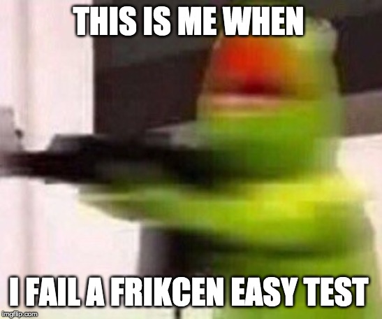 school shooter (muppet) | THIS IS ME WHEN; I FAIL A FRIKCEN EASY TEST | image tagged in school shooter muppet | made w/ Imgflip meme maker