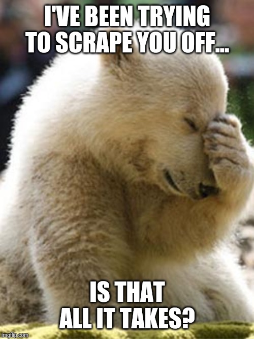 Facepalm Bear Meme | I'VE BEEN TRYING TO SCRAPE YOU OFF... IS THAT ALL IT TAKES? | image tagged in memes,facepalm bear | made w/ Imgflip meme maker