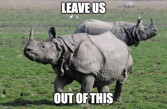 Rhinoceros  | LEAVE US OUT OF THIS | image tagged in rhinoceros | made w/ Imgflip meme maker