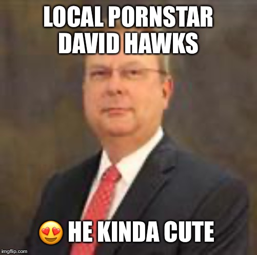 Local pornstar David hawks | LOCAL PORNSTAR DAVID HAWKS; 😍 HE KINDA CUTE | image tagged in birds | made w/ Imgflip meme maker