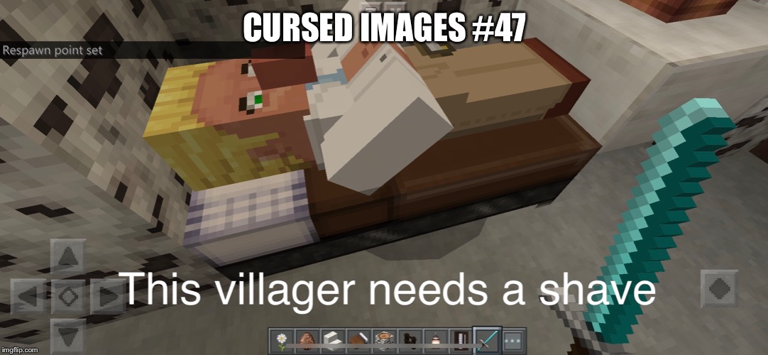 Shave | CURSED IMAGES #47 | image tagged in villager | made w/ Imgflip meme maker