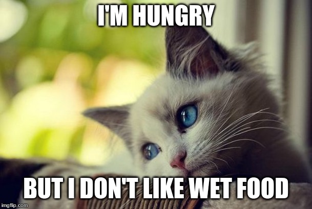 First World Problems Cat Meme | I'M HUNGRY; BUT I DON'T LIKE WET FOOD | image tagged in memes,first world problems cat | made w/ Imgflip meme maker