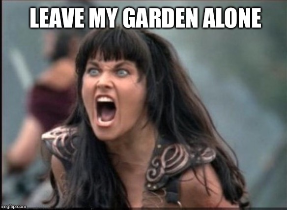 Screaming Woman | LEAVE MY GARDEN ALONE | image tagged in screaming woman | made w/ Imgflip meme maker