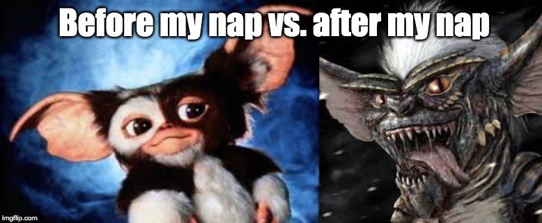 Before my nap vs. after my nap | image tagged in naps | made w/ Imgflip meme maker
