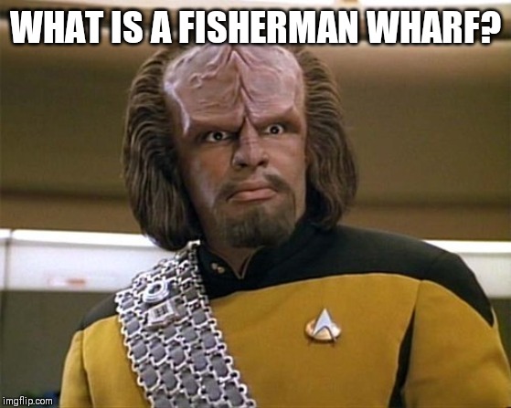 Worf Star Trek | WHAT IS A FISHERMAN WHARF? | image tagged in worf star trek | made w/ Imgflip meme maker
