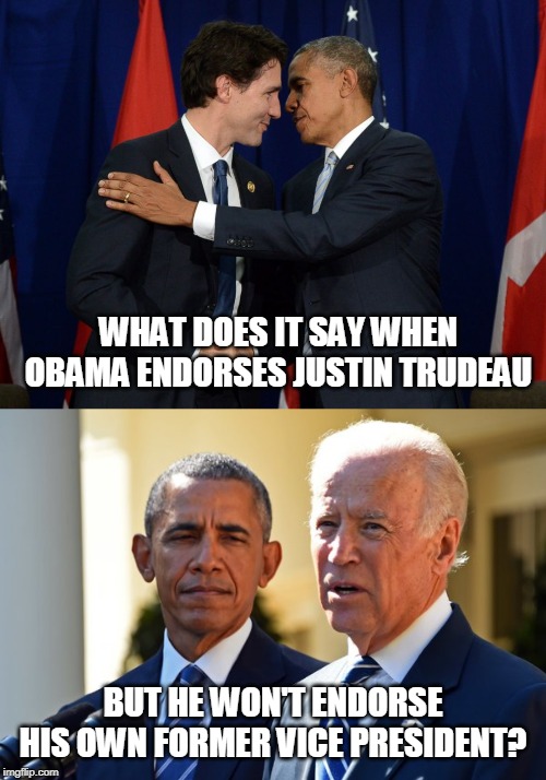 Why Won't Obama Endorse Biden? | WHAT DOES IT SAY WHEN OBAMA ENDORSES JUSTIN TRUDEAU; BUT HE WON'T ENDORSE HIS OWN FORMER VICE PRESIDENT? | image tagged in joe biden,barack obama | made w/ Imgflip meme maker
