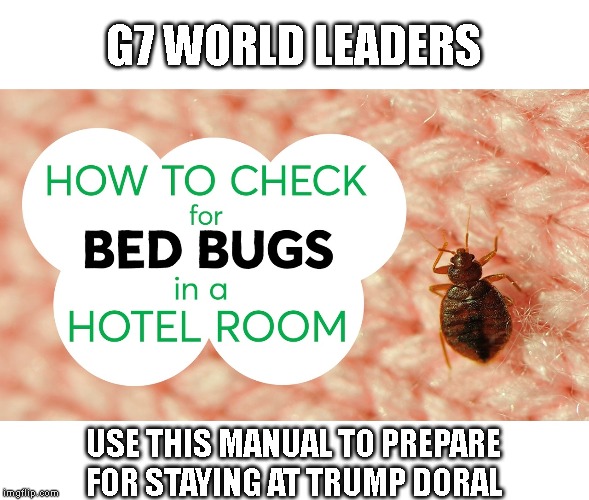 It is Against the U.S. Constitution For Trump To Force World Leaders to Stay at His Hotel | G7 WORLD LEADERS; USE THIS MANUAL TO PREPARE FOR STAYING AT TRUMP DORAL | image tagged in impeach trump,emoluments,corruption,traitor,liar,conman | made w/ Imgflip meme maker