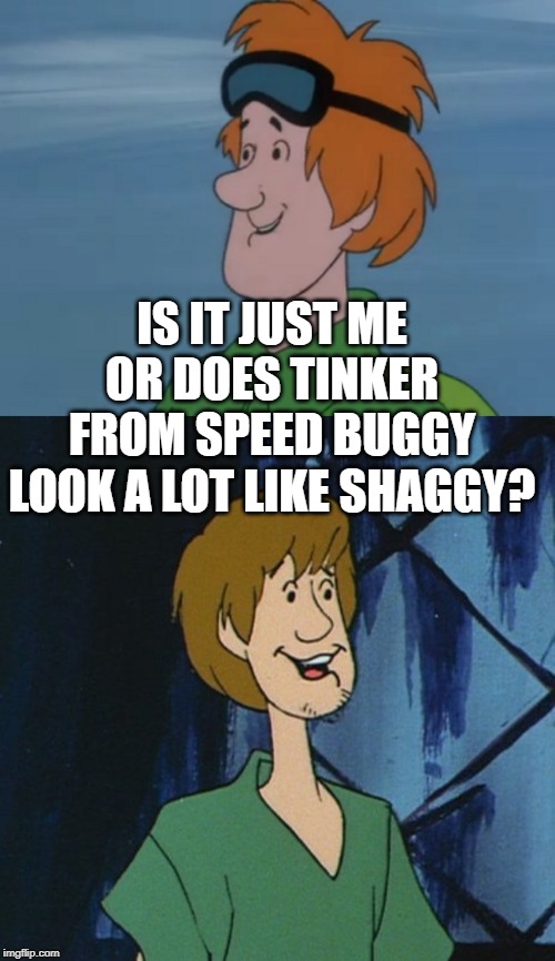 The Ol' Cartoon Rehash | IS IT JUST ME OR DOES TINKER FROM SPEED BUGGY LOOK A LOT LIKE SHAGGY? | image tagged in cartoon shaggy 2 | made w/ Imgflip meme maker