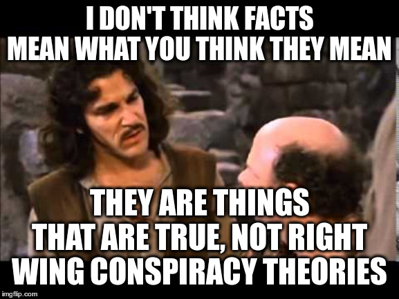 i don't think it means | I DON'T THINK FACTS MEAN WHAT YOU THINK THEY MEAN THEY ARE THINGS THAT ARE TRUE, NOT RIGHT WING CONSPIRACY THEORIES | image tagged in i don't think it means | made w/ Imgflip meme maker