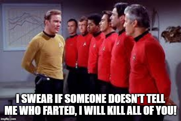 They're Dead Anyway So....... | I SWEAR IF SOMEONE DOESN'T TELL ME WHO FARTED, I WILL KILL ALL OF YOU! | image tagged in star trek | made w/ Imgflip meme maker