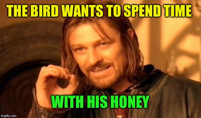 One Does Not Simply Meme | THE BIRD WANTS TO SPEND TIME WITH HIS HONEY | image tagged in memes,one does not simply | made w/ Imgflip meme maker