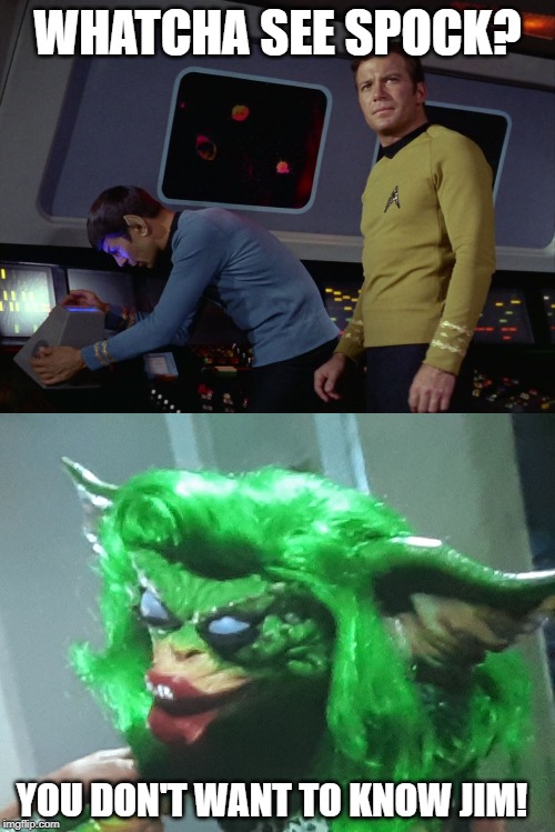 Ain't No Orion Woman! | WHATCHA SEE SPOCK? YOU DON'T WANT TO KNOW JIM! | image tagged in star trek spock,gremlins tranny | made w/ Imgflip meme maker