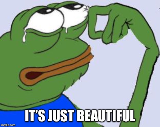 sad frog cry | IT’S JUST BEAUTIFUL | image tagged in sad frog cry | made w/ Imgflip meme maker