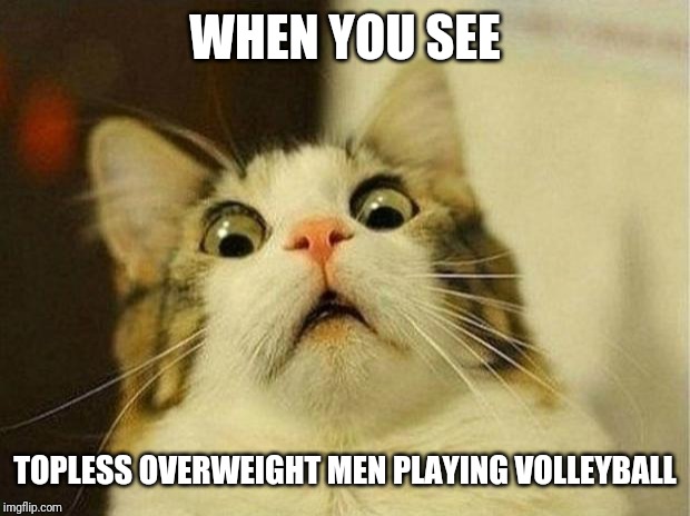 Scared Cat Meme | WHEN YOU SEE; TOPLESS OVERWEIGHT MEN PLAYING VOLLEYBALL | image tagged in memes,scared cat | made w/ Imgflip meme maker