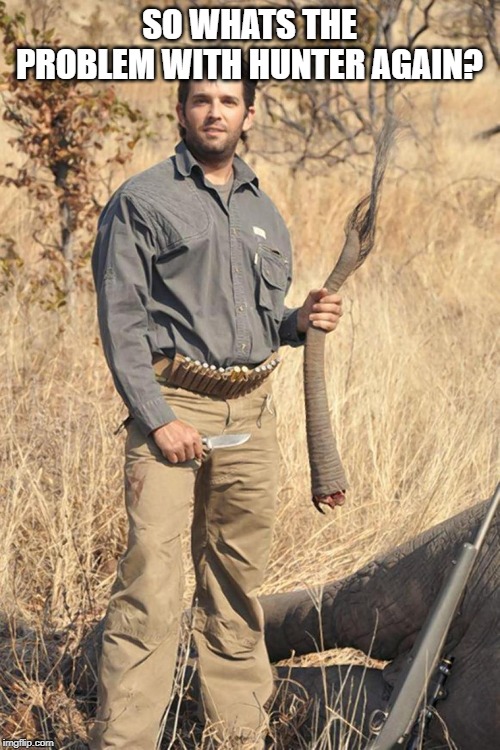 donald trump jr | SO WHATS THE PROBLEM WITH HUNTER AGAIN? | image tagged in donald trump jr | made w/ Imgflip meme maker