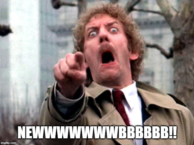 Screaming Donald Sutherland | NEWWWWWWWBBBBBB!! | image tagged in screaming donald sutherland | made w/ Imgflip meme maker