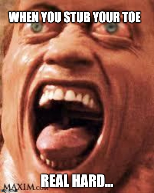 Total recall scream face | WHEN YOU STUB YOUR TOE; REAL HARD... | image tagged in total recall scream face | made w/ Imgflip meme maker