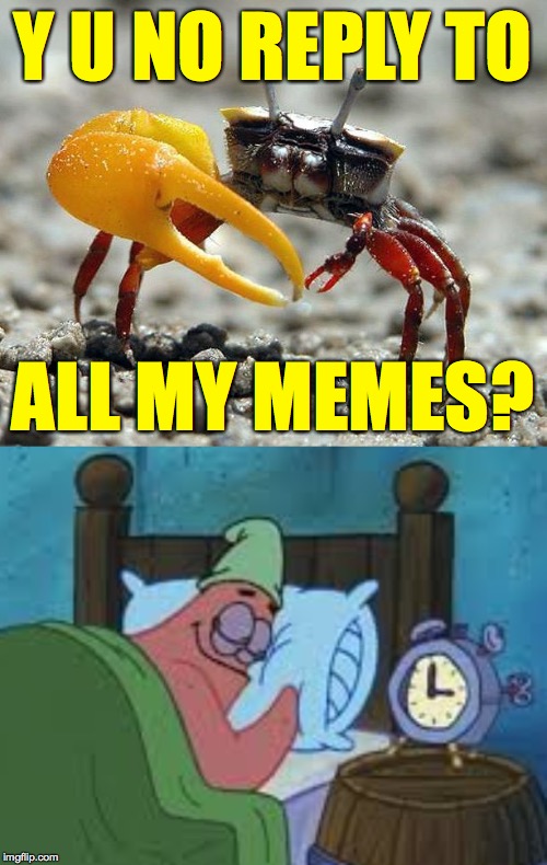 Y U NO REPLY TO ALL MY MEMES? | image tagged in fiddler crab | made w/ Imgflip meme maker