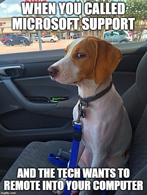 Suspicious Dog | WHEN YOU CALLED MICROSOFT SUPPORT; AND THE TECH WANTS TO REMOTE INTO YOUR COMPUTER | image tagged in suspicious dog | made w/ Imgflip meme maker