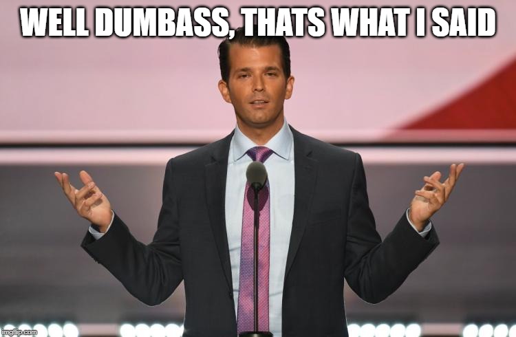 Donald Trump Jr. | WELL DUMBASS, THATS WHAT I SAID | image tagged in donald trump jr | made w/ Imgflip meme maker