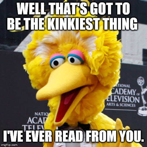 Big Bird Meme | WELL THAT'S GOT TO BE THE KINKIEST THING; I'VE EVER READ FROM YOU. | image tagged in memes,big bird | made w/ Imgflip meme maker
