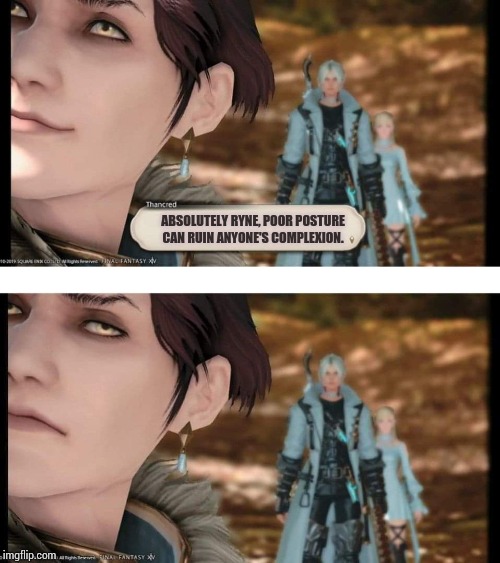 The woods have ears | ABSOLUTELY RYNE, POOR POSTURE CAN RUIN ANYONE'S COMPLEXION. | image tagged in final fantasy | made w/ Imgflip meme maker