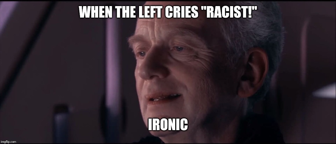 Palpatine Ironic  | WHEN THE LEFT CRIES "RACIST!"; IRONIC | image tagged in palpatine ironic | made w/ Imgflip meme maker