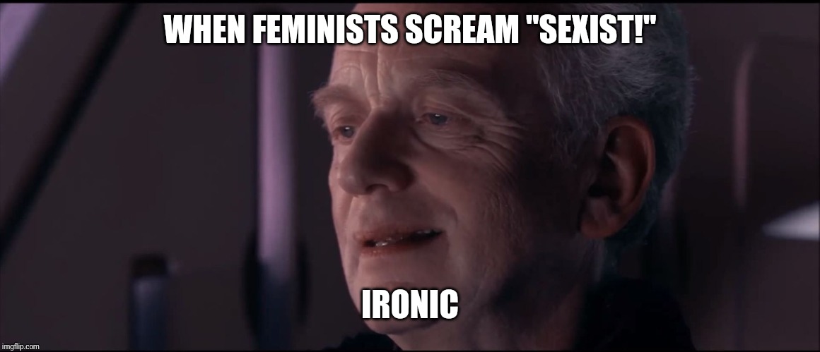 Palpatine Ironic  | WHEN FEMINISTS SCREAM "SEXIST!"; IRONIC | image tagged in palpatine ironic | made w/ Imgflip meme maker